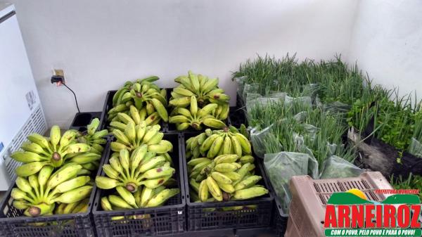 Foto 8 — Programa de Aquisição de Alimentos – PAA