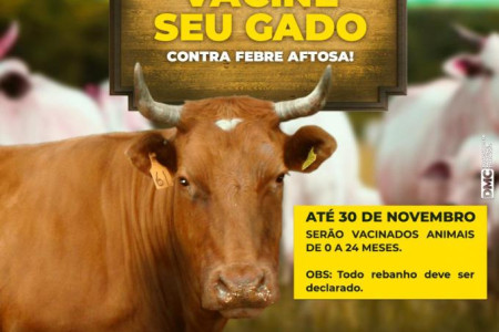 Campanha de Vacinação Contra Febre Aftosa