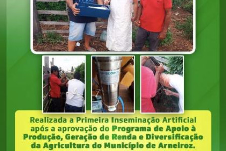O Município de Arneiroz, realiza a primeira inseminação artificial em Bovinos.