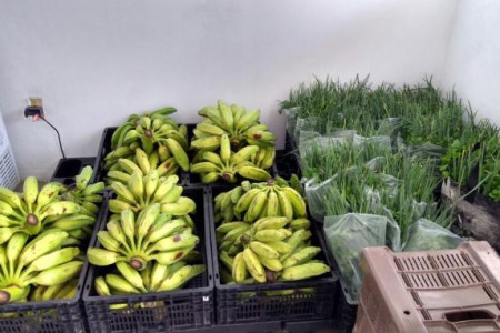 Programa de Aquisição de Alimentos – PAA